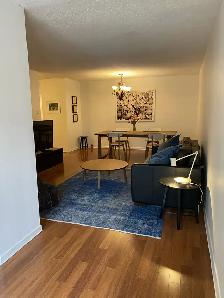 Spacious furnished 1 1 at Yonge/Wellesley - Photo 2