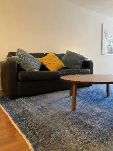 Spacious furnished 1 1 at Yonge/Wellesley - Photo 3