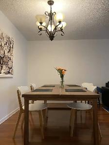 Spacious furnished 1 1 at Yonge/Wellesley - Photo 6