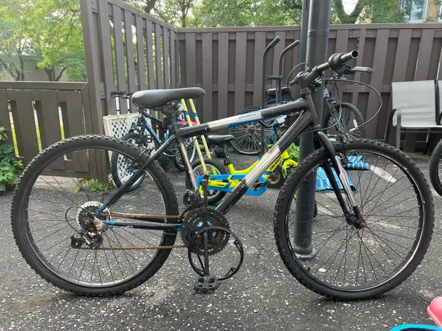 Old mountain bike, used (Price is negotiable)