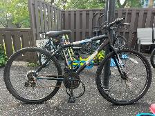 Old mountain bike, used (Price is negotiable)