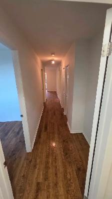 Très beau 4 1/2 ensolleillé deux pièces fermées - Photo 11