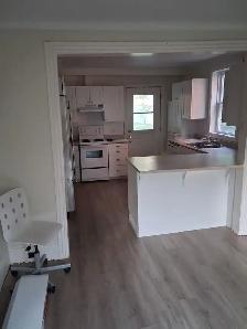 Edge of Queen's campus - 4BR 2BA house - Photo 4