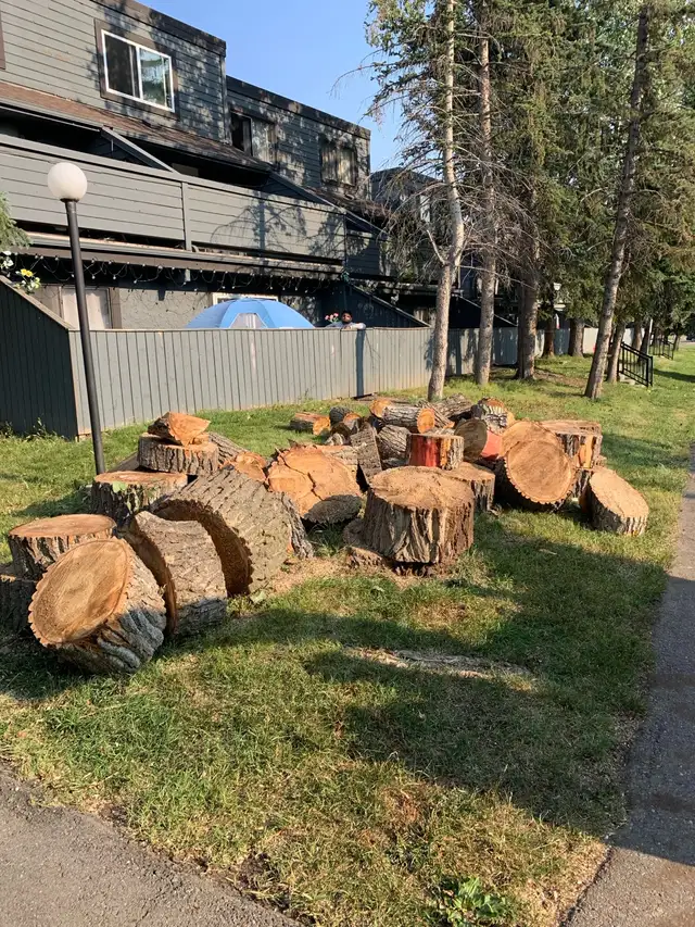 Free Firewood