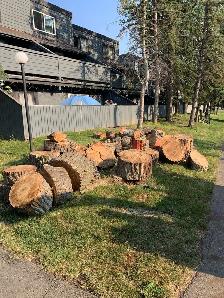 Free Firewood