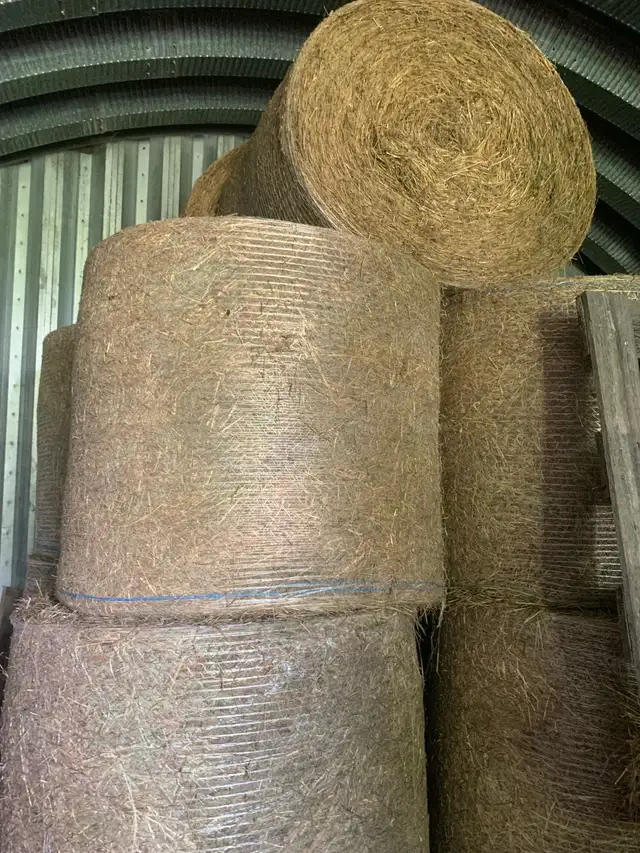 Hay For Sale