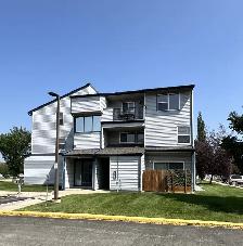 #8821 - Bachelor suite Available Sept 1st/ Rent $1150 h/w includ