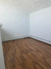 #8821 - Bachelor suite Available Sept 1st/ Rent $1150 h/w includ - Photo 5