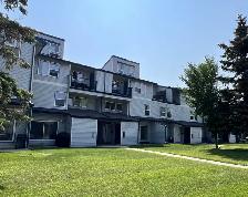 #8821 - Bachelor suite Available Sept 1st/ Rent $1150 h/w includ - Photo 9
