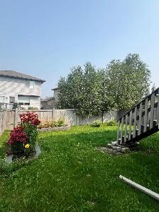 #7892- 5Bed/ 3Bath Home in Pinnacle. Avail Aug 1st. $3200 - Photo 6