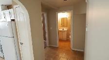 3 Bedroom Basement Suite in Westpark! - Photo 3