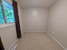 3 Tara Crescent, Thorold - 4 Bedroom Semi Detached House - Photo 17