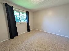 3 Tara Crescent, Thorold - 4 Bedroom Semi Detached House - Photo 21