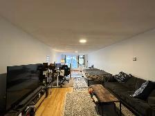 Loft Style New Yorkais