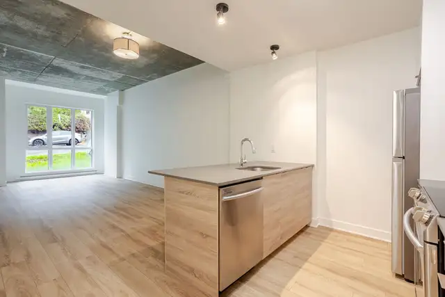 31/2,1,chambres,louer,rent,centre-ville,Montréal,mont-royal