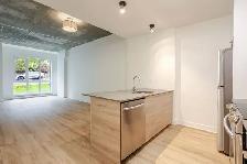 31/2,1,chambres,louer,rent,centre-ville,Montréal,mont-royal