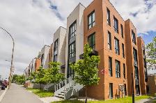 31/2,1,chambres,louer,rent,centre-ville,Montréal,mont-royal - Photo 6
