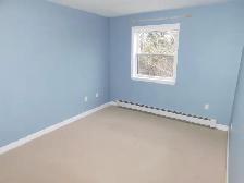 Great Halifax/Clayton Park Home/3beds/2.5baths - VIDEO TOUR! - Photo 21