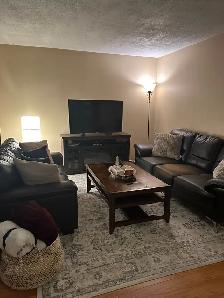 6640 Notre Dame Street #306:2 Bedroom Apartment (Orléans/Ottawa) - Photo 3