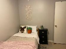 Available September 15th, one bedroom near Georgian College - Photo 5