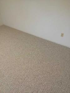 carpet and installation - Photo 4