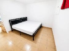 2 Bedroom Basement @ McCowen and Ellesmere - Photo 6