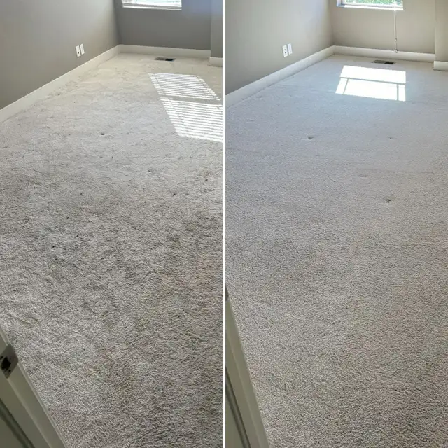 Carpet & Upholstery Cleaning Service