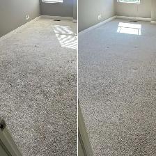Carpet & Upholstery Cleaning Service