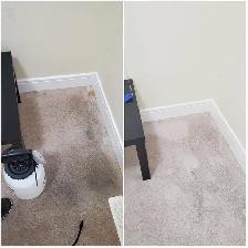 Carpet & Upholstery Cleaning Service - Photo 2