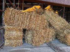 Straw bales