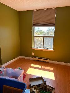 Looking for Roommate - Vanier - Photo 3