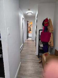 Modern 2-Bedroom Apartment for Rent in Kitchener! - Photo 6