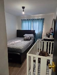 Modern 2-Bedroom Apartment for Rent in Kitchener! - Photo 9