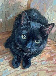 YOUNG MALE CAT NEEDS A HOME - Photo 9