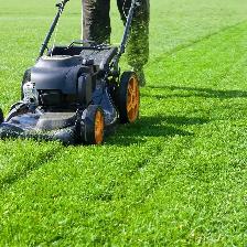 lawn mowing barrhaven