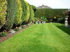 lawn mowing barrhaven - Photo 2