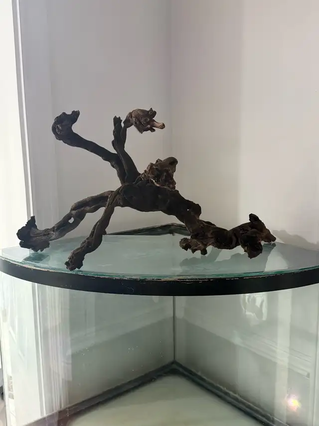 Large Aquarium Driftwood