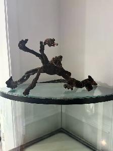 Large Aquarium Driftwood