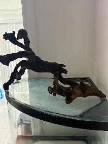 Large Aquarium Driftwood - Photo 2