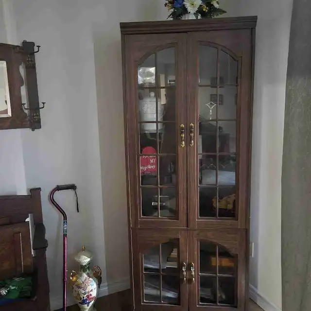Tall Beautiful Cabinet Glass Doors
