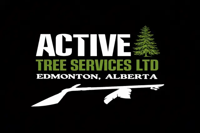 Ground man  / Tree worker
