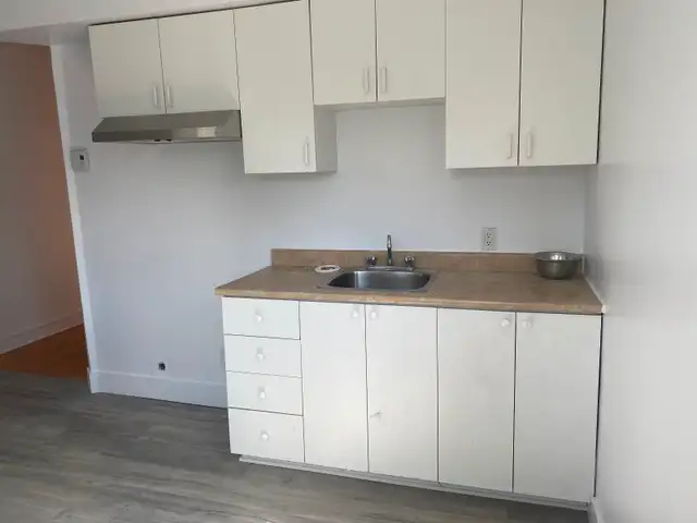 3 1/2 a louer petite Italie - 3 1/2 for rent in little Italy