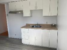 3 1/2 a louer petite Italie - 3 1/2 for rent in little Italy