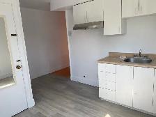 3 1/2 a louer petite Italie - 3 1/2 for rent in little Italy - Photo 2