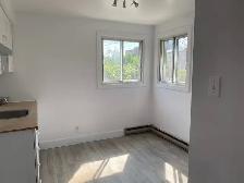 3 1/2 a louer petite Italie - 3 1/2 for rent in little Italy - Photo 3