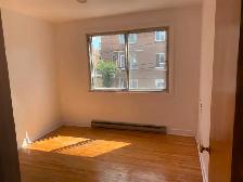 3 1/2 a louer petite Italie - 3 1/2 for rent in little Italy - Photo 6