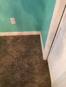 We install your baseboards, doors. Carpentry work, Trims we inst - Photo 6