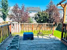WHOLE HOUSE -4bedrooms3.5bathroom in Saddle Ridge - Photo 10