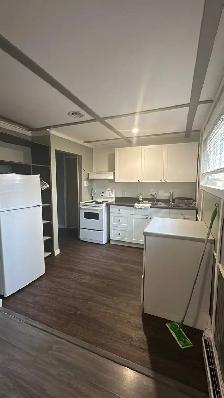 FRESHLY PAINTED & SUPER CLEAN 1-BEDROOM BASEMENT SUITE - Photo 2