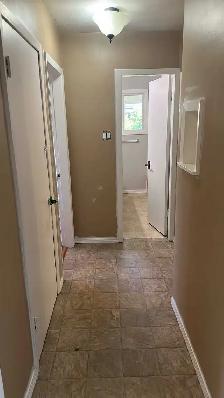 FRESHLY PAINTED & SUPER CLEAN 1-BEDROOM BASEMENT SUITE - Photo 3